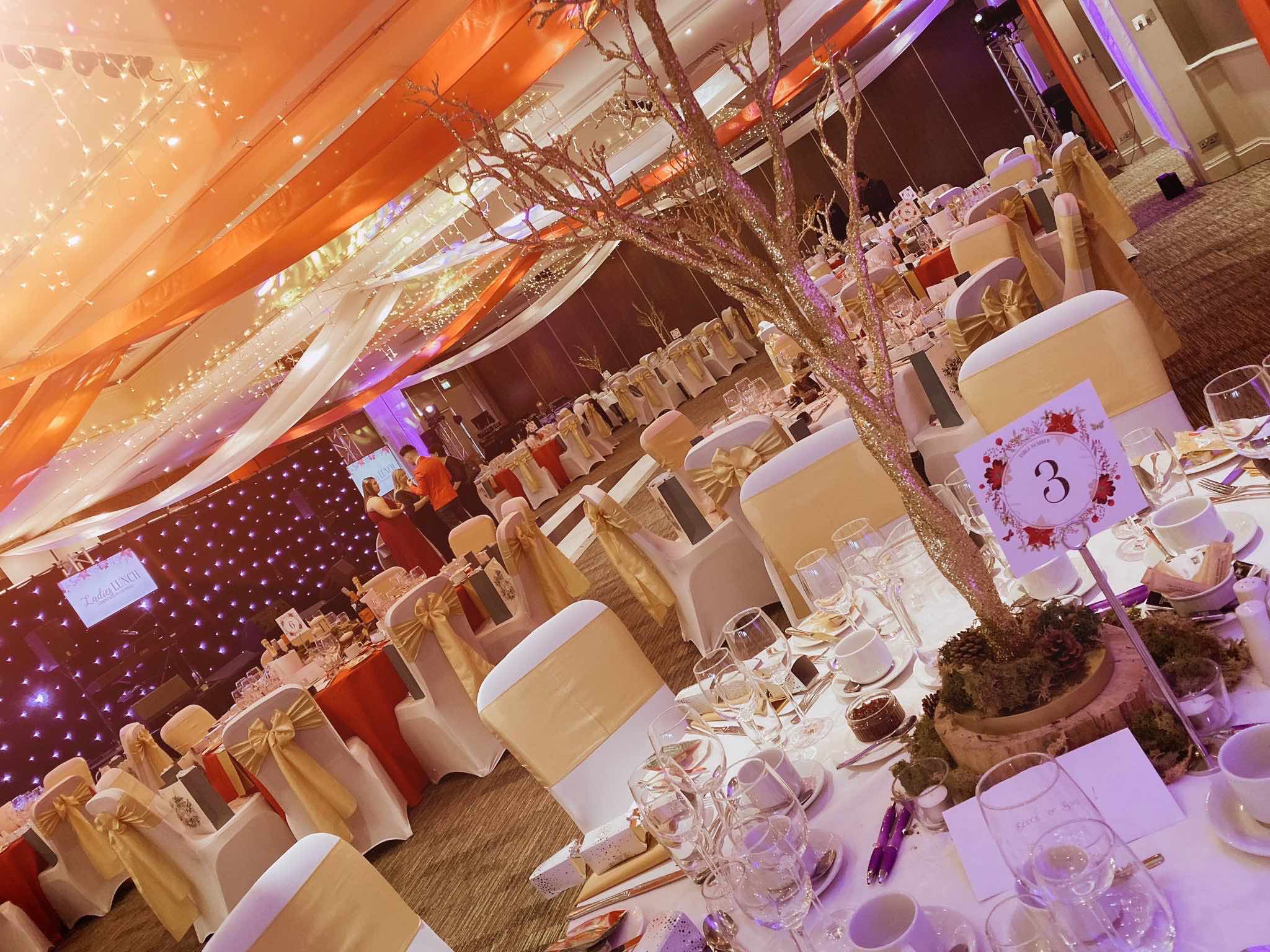 Caudwell childrens , cheshire ladies lunch , production from Cannock Sound , 